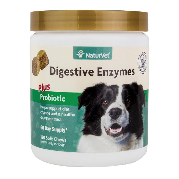 protein for pets valencia
