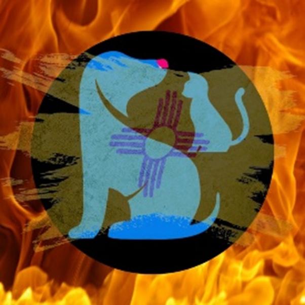 Nm Fires Cat Food Donation, Small