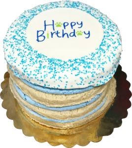 Preppy Puppy Bakery Boy Layered Birthday Cake Dog Treats, 1-count