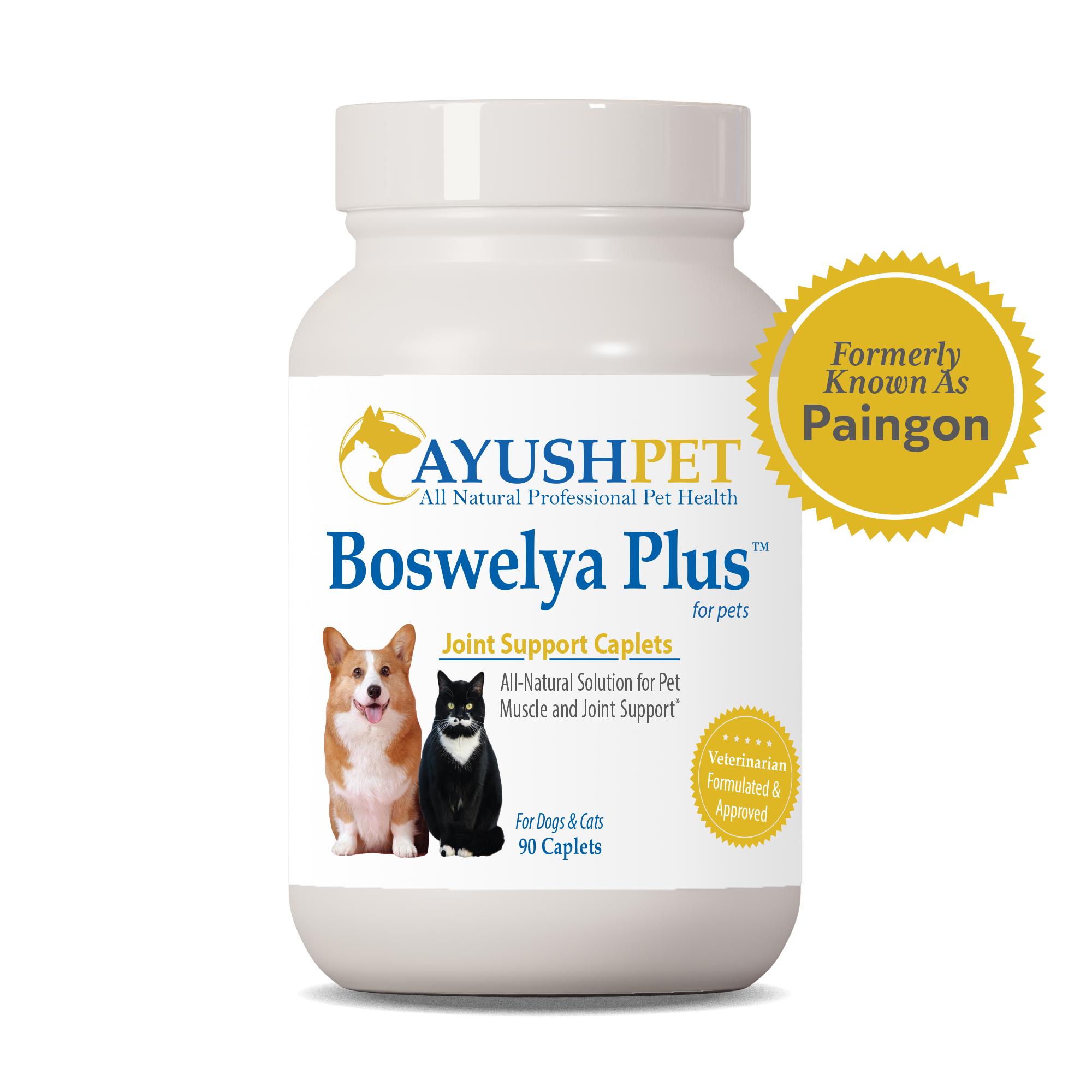 Ayush Pet Boswelya Plus Muscle & Joint Support Caplets Dog & Cat Supplement, 90-count