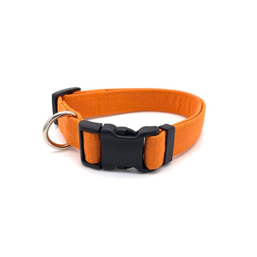 Winthrop Handmade Primary Dog Collar, Orange, Medium