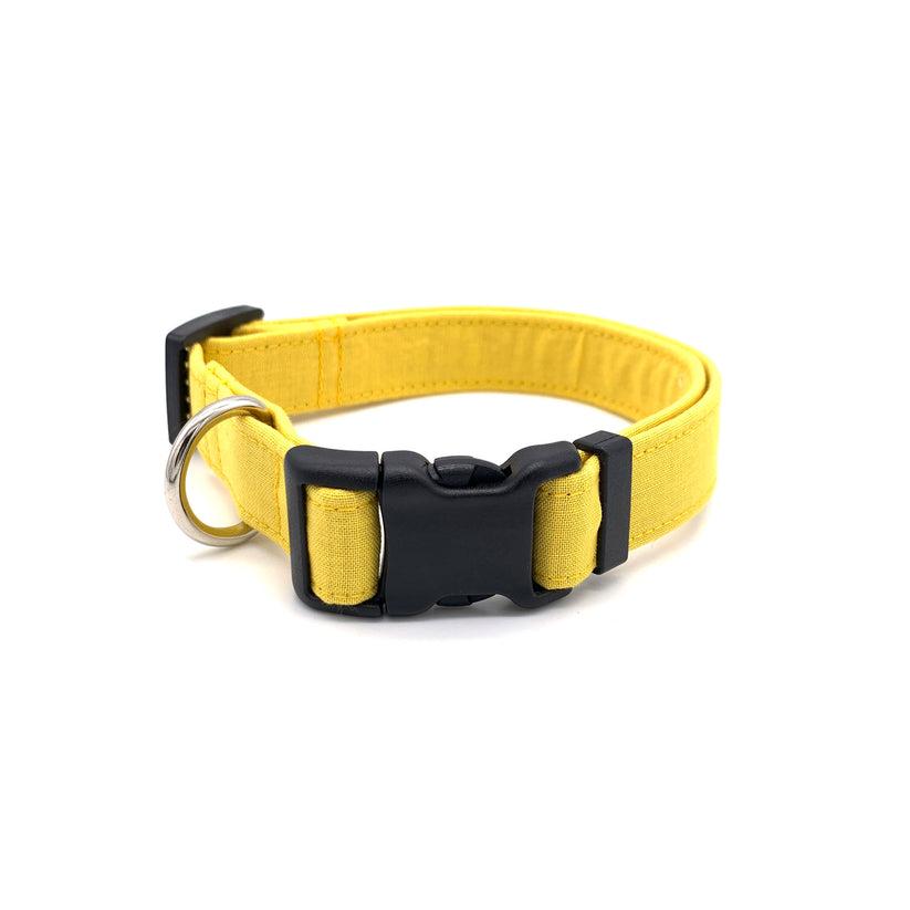 Winthrop Handmade Primary Dog Collar, Yellow, Medium