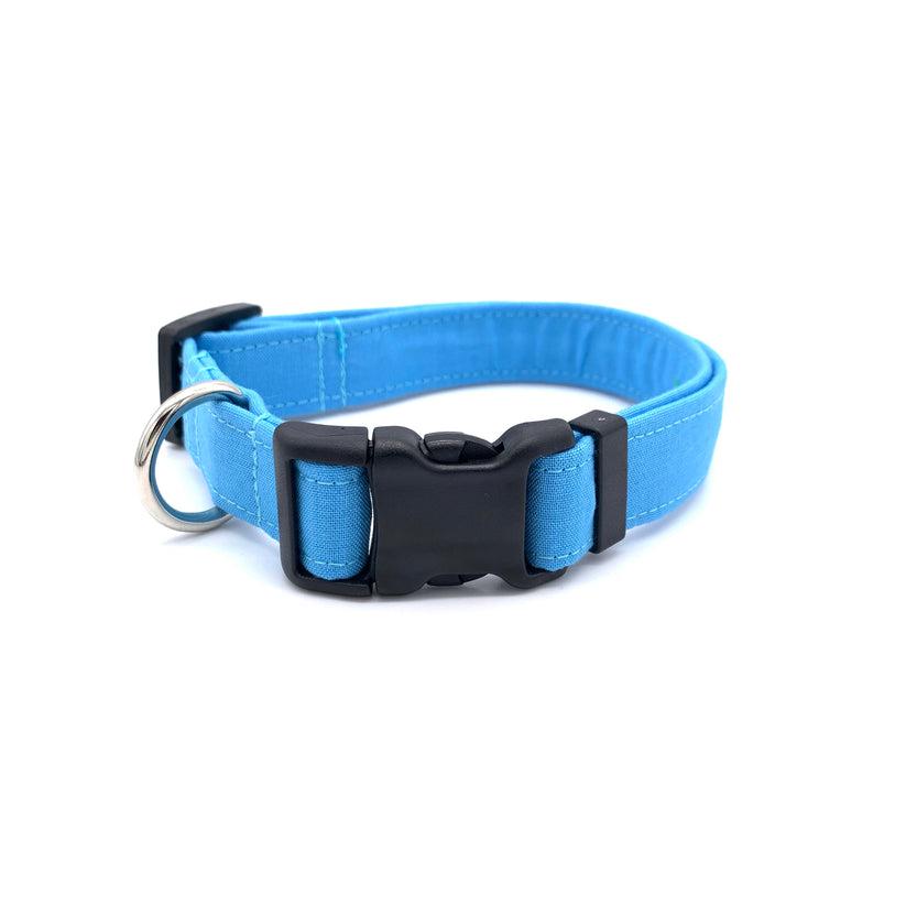 Winthrop Handmade Primary Dog Collar, Light Blue, Small
