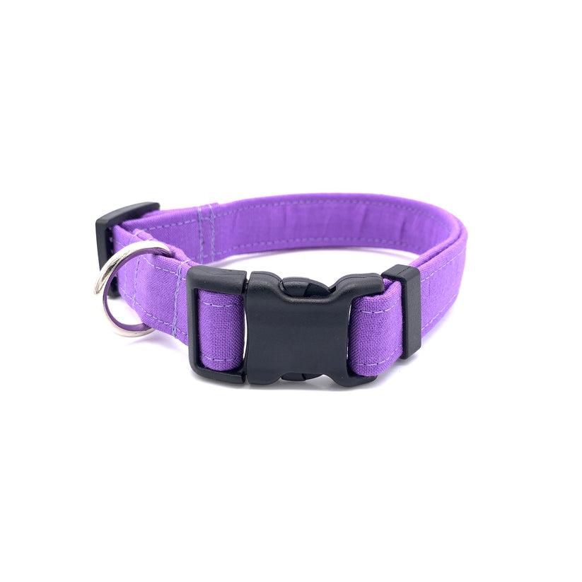 Winthrop Handmade Primary Dog Collar, Purple, Medium