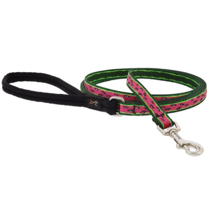 Lupine Pet MicroBatch Limited Designs Dog Leash, Watermelon, 1/2-in x 6-ft
