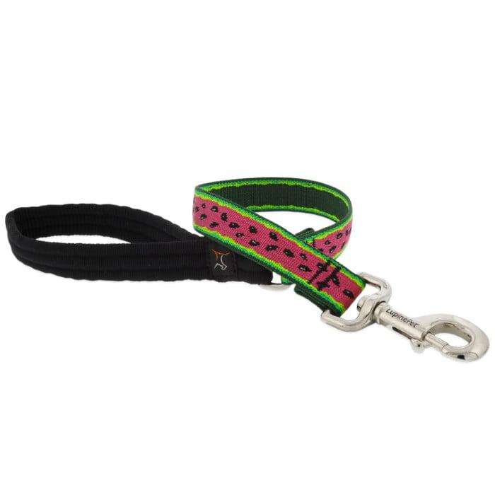 Lupine Pet MicroBatch Limited Designs Dog Leash, Watermelon, 1-in x 6-ft