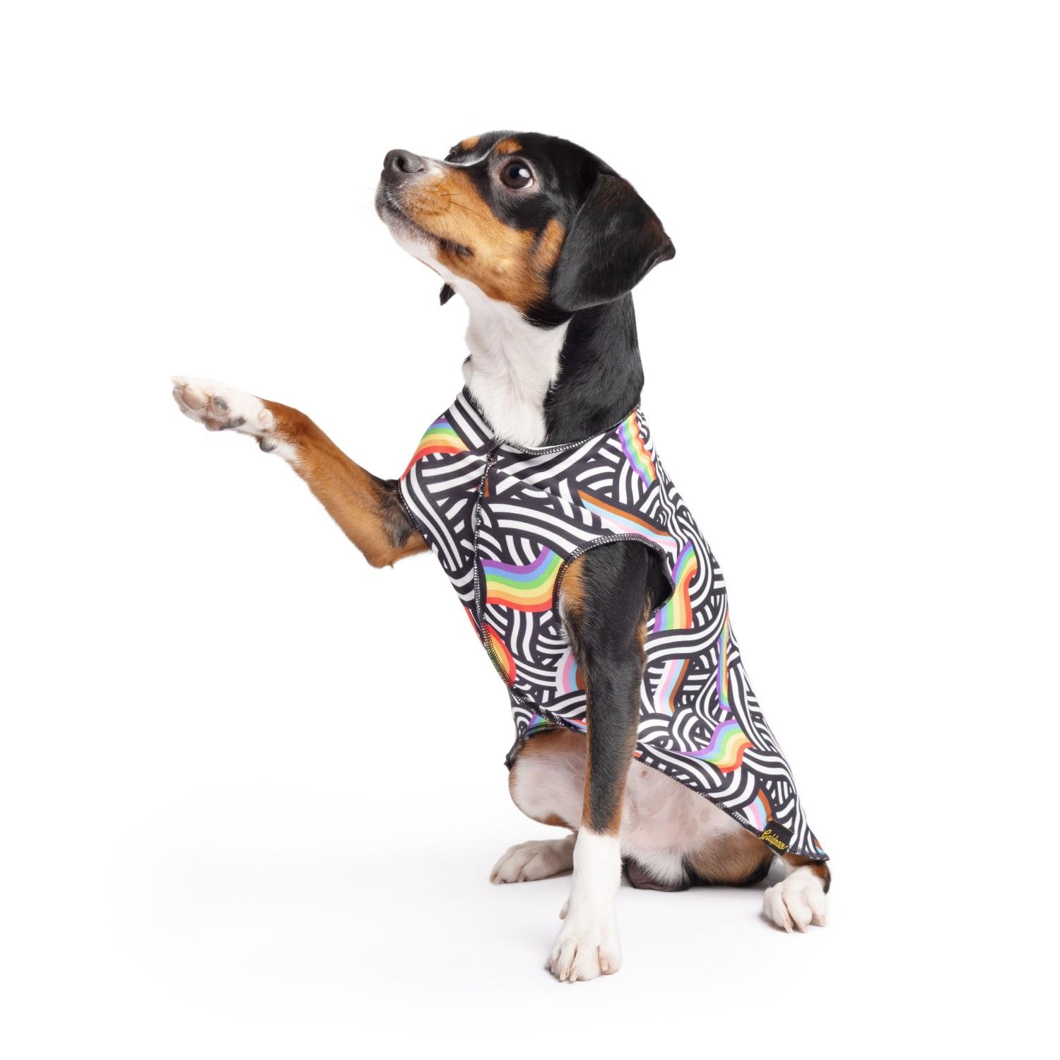 Goldpaw Series Limited Edition Sun Shield Dog Tee, Pride, 22