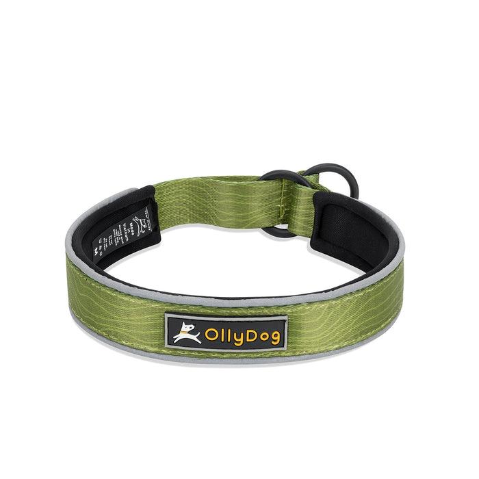 OllyDog Martingale Reflective Comfort Dog Collar, Cactus Woodgrain, Large