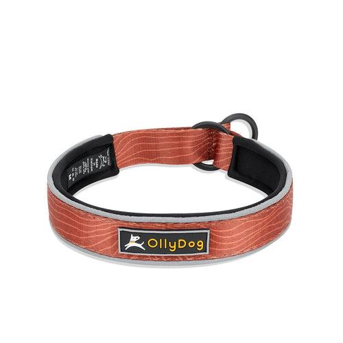 OllyDog Martingale Reflective Comfort Dog Collar, Clay Woodgrain, Large
