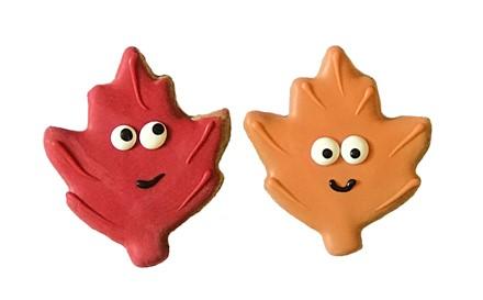 Pawsitively Gourmet Fall Emoji Leaves Dog Treats