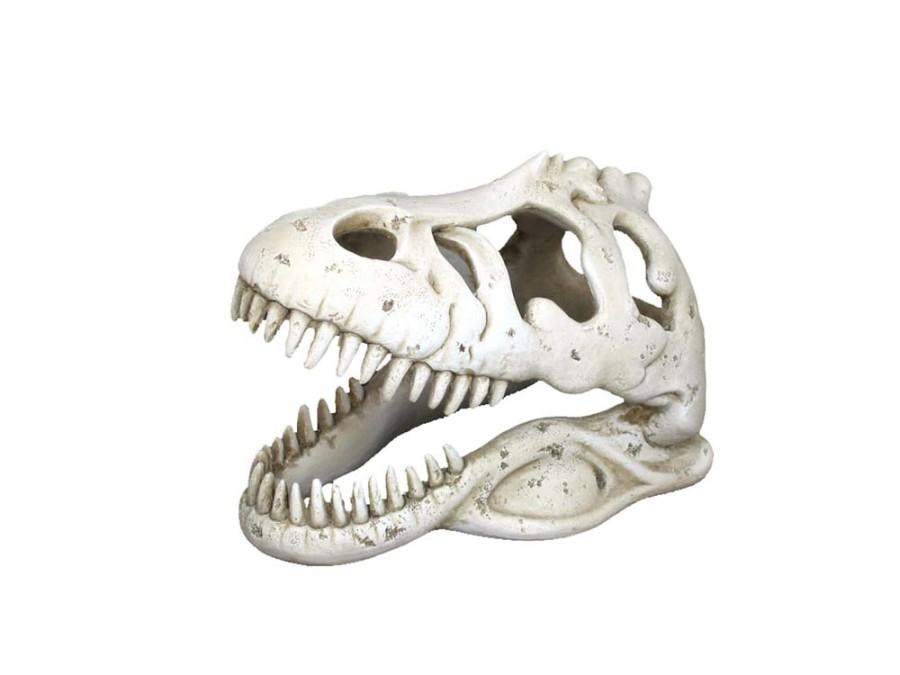 Weco Wecorama Catacombs T-REX Skull Aquarium Ornament, 5.3-in