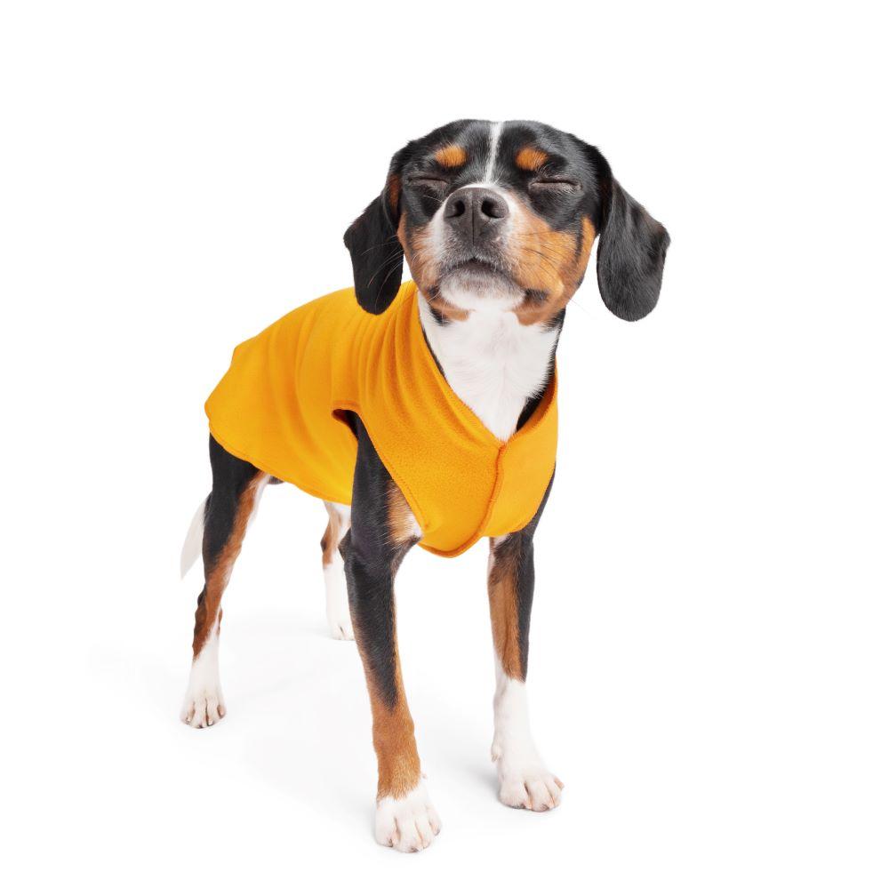Goldpaw Stretch Fleece Dog Coat, Cheddar, 8