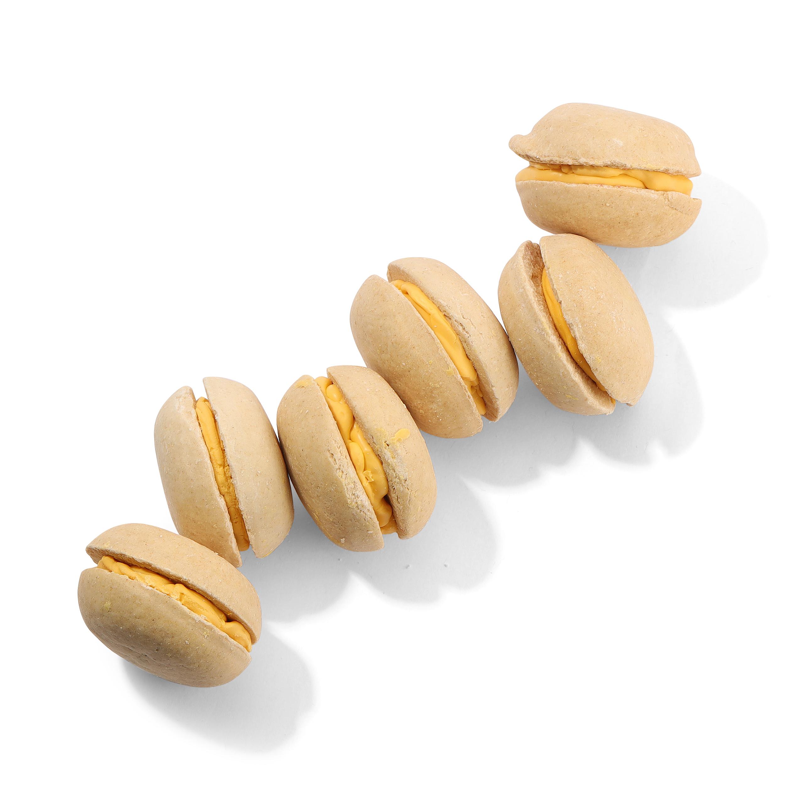 GoGo Birthday Cake Macaroons Dog Treats, 2-lb