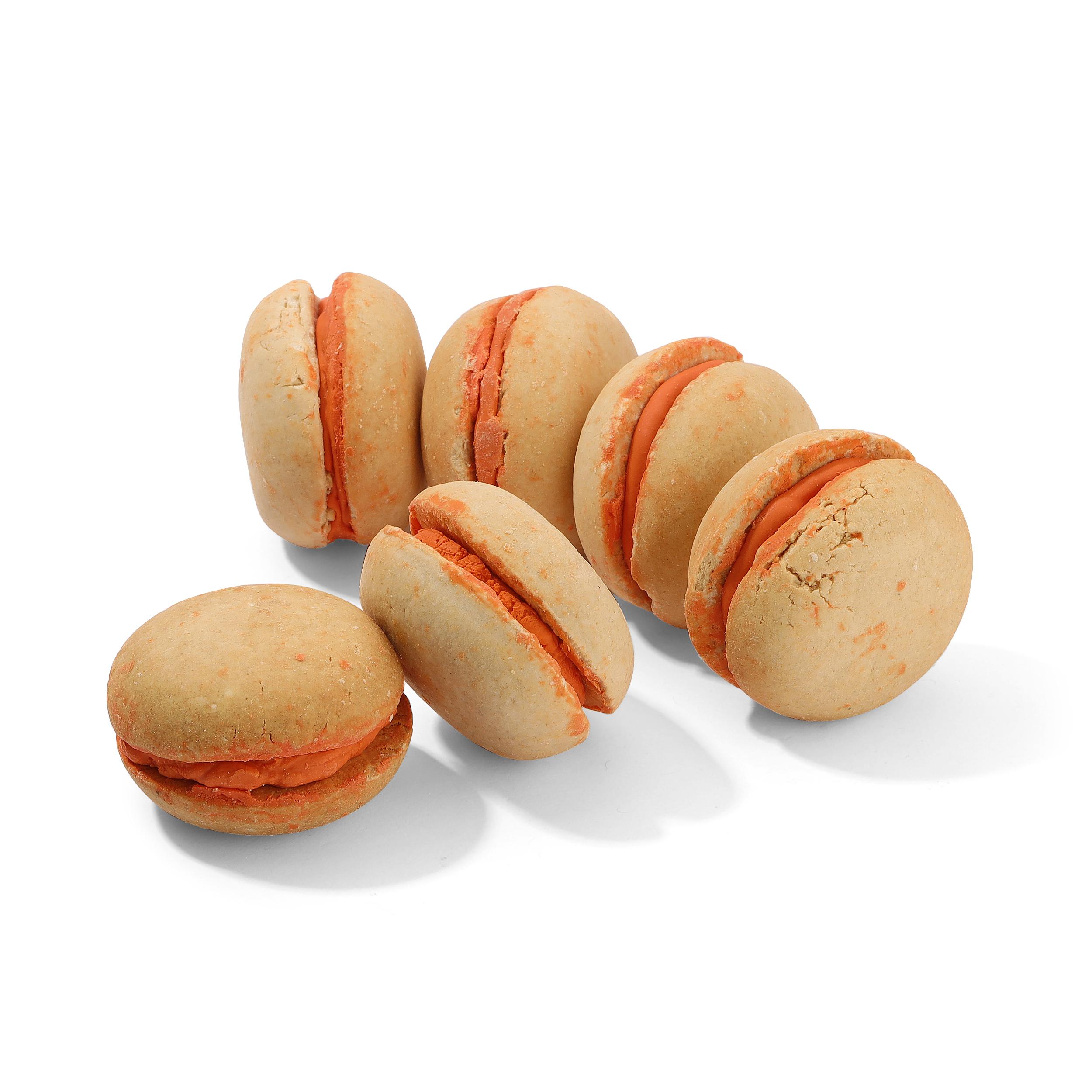 GoGo Pumpkin Macaroons Dog Treats, 2-lb