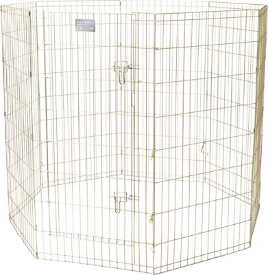 MidWest Exercise Pen with Step-Thru Door, Gold Zinc, 48-in