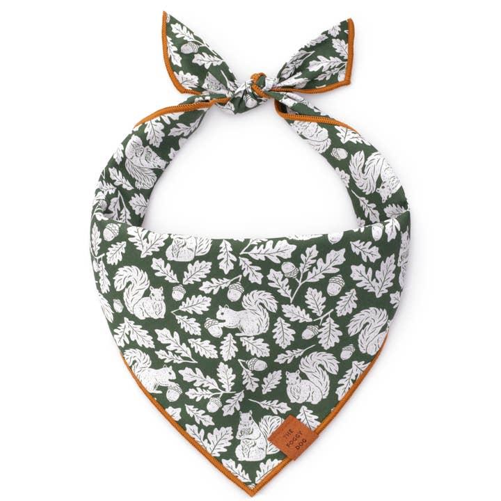 The Foggy Doggy Squirrel! Dog Bandana