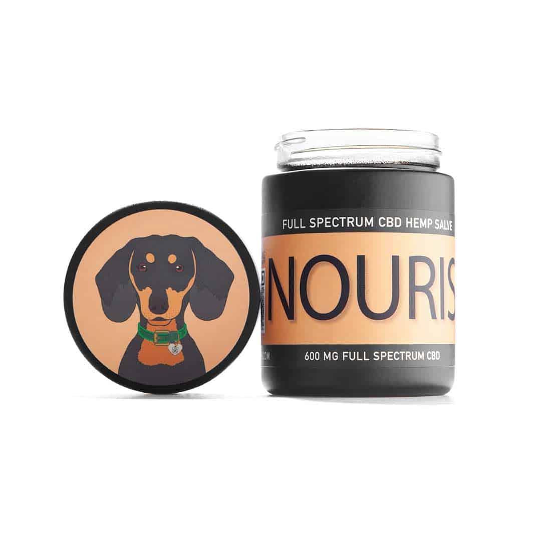 CBDDog Health Nourish Salve for Dogs, 600mg, 4-oz