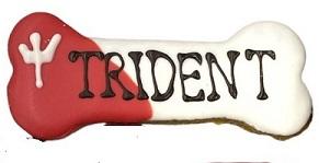 Paws Gourmet Bakery Custom 5" Grr-Nola Bones Dog Treats, 5-in x 2-in