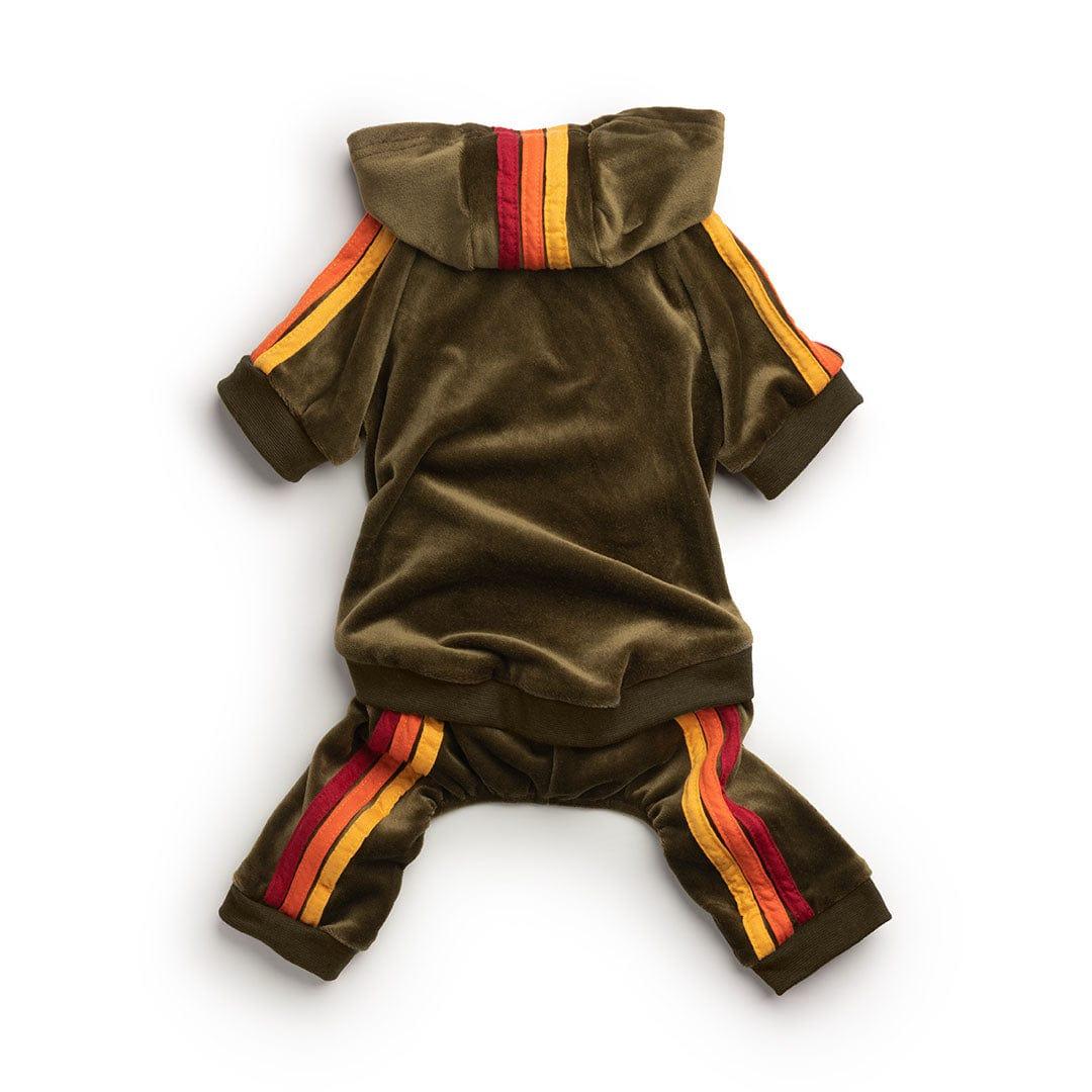 fabdog Velour Jogger for Dogs, Olive, 16-in