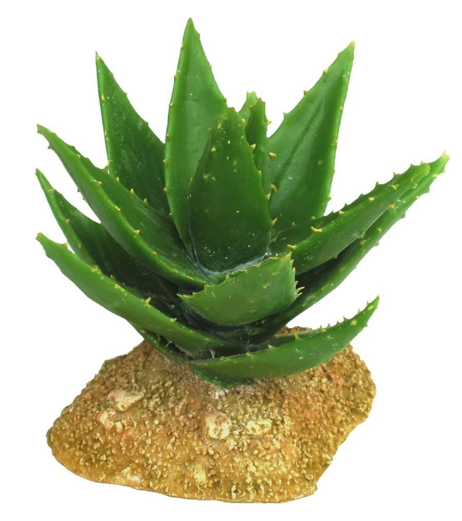 Weco Wecorama Badlands Aloe Vera Terrarium Ornament