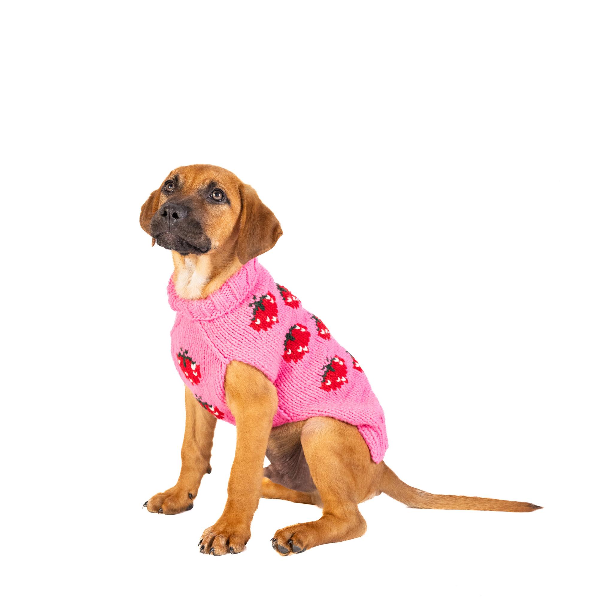 Chilly Dog Strawberry Dog Sweater, X-Small