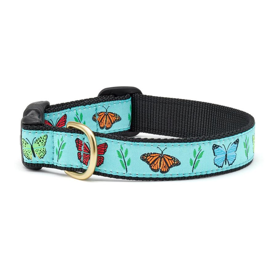 Up Country Dog Collar, Butterfly Effect, 5/8-in x 9-15-in