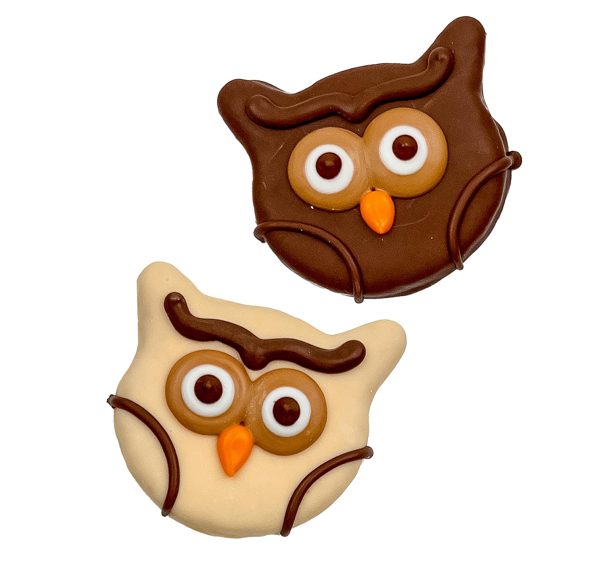Bosco & Roxy's Fall You're a Hoot Owl Dog Treats, 3-in
