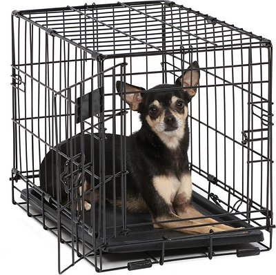 MidWest iCrate Single Door Fold & Carry Dog Crate, 18-in