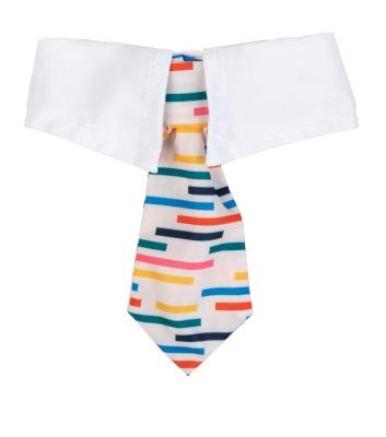 FuzzYard Pet Necktie, Lord Carnaby