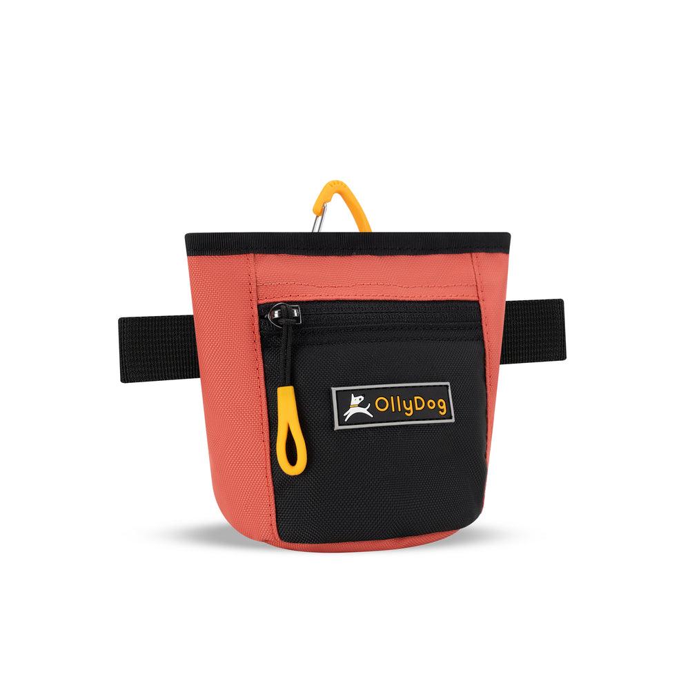 OllyDog Goodie Dog Treat Bag, Reef