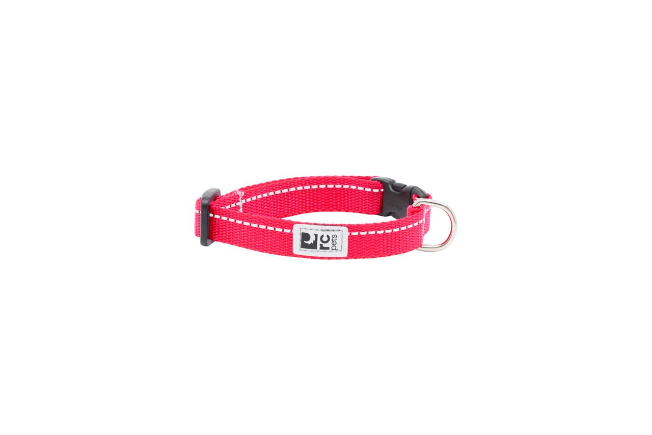 RC Pets Petite Primary Clip Dog Collar, Azalea