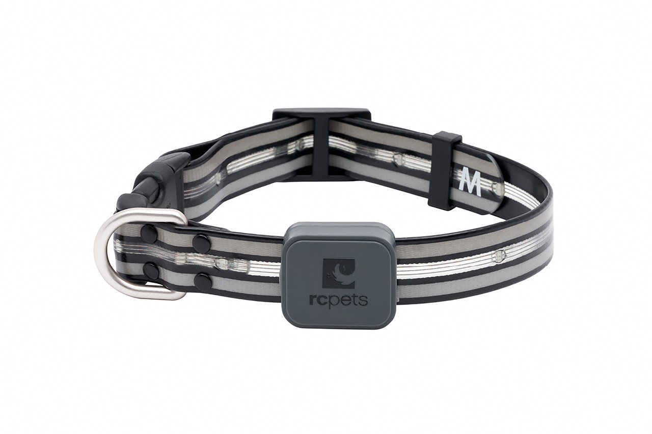 RC Pets Nova LED Light Dog Collar, Black, Large (1-in x 15-25-in)
