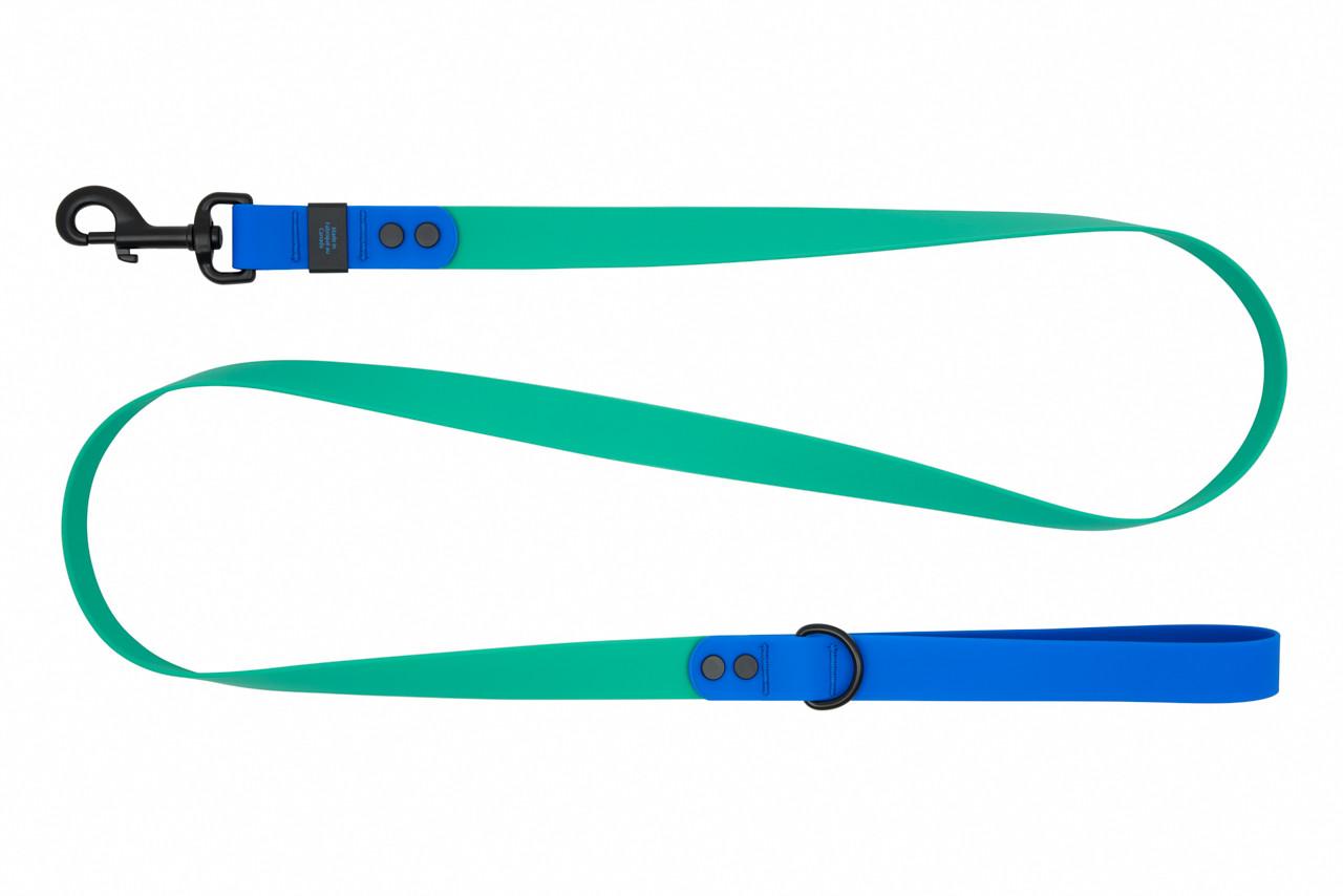 RC Pets Waterproof Dog Leash, Parakeet/Sapphire