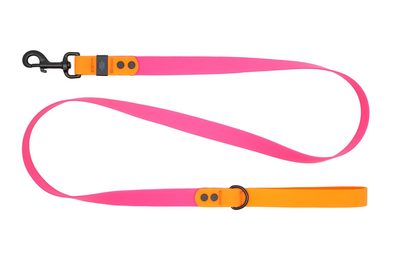 RC Pets Waterproof Dog Leash, Azalea/Orange, 1-in x 5-ft
