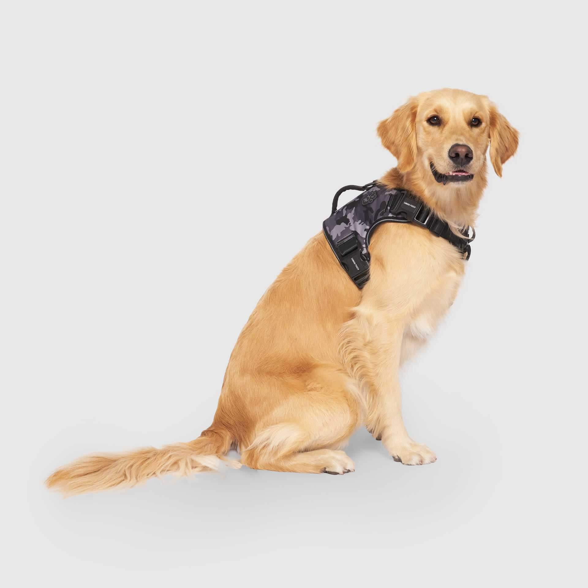 Canada Pooch Complete Control Dog Harness, Black Camo, Small