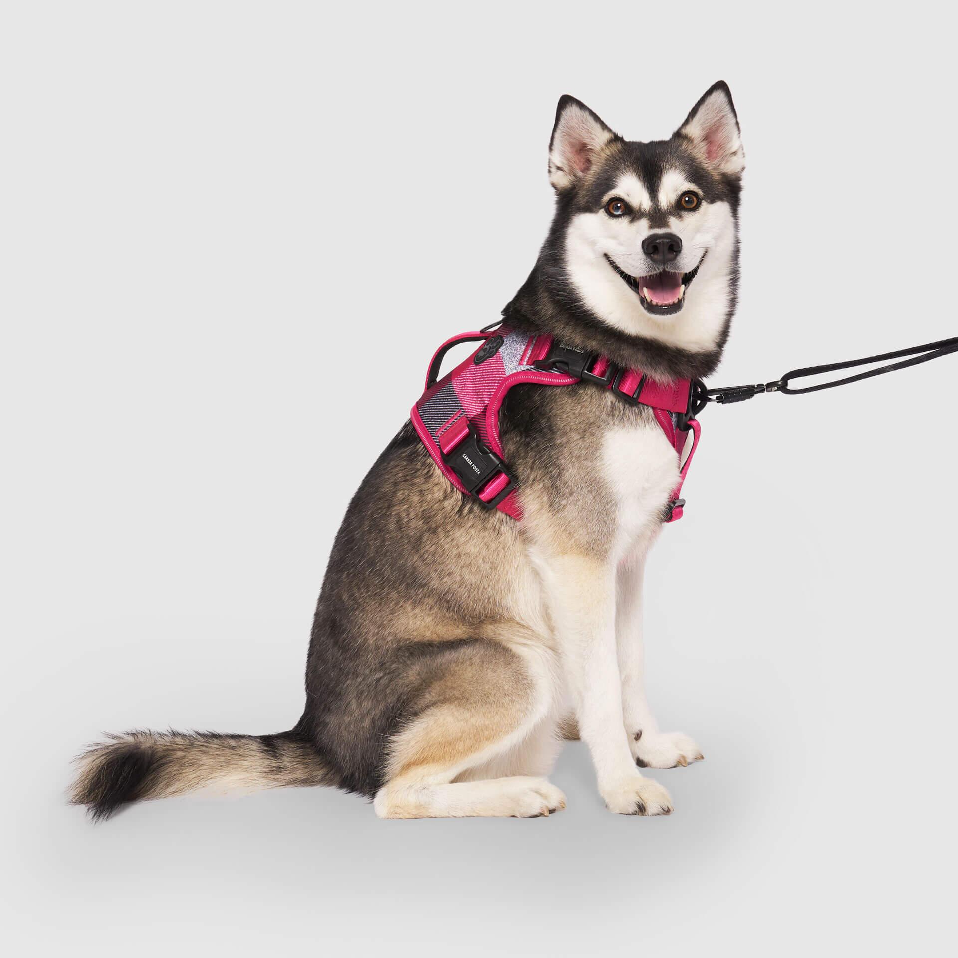 Canada Pooch Complete Control Dog Harness, Pink Plaid, Small