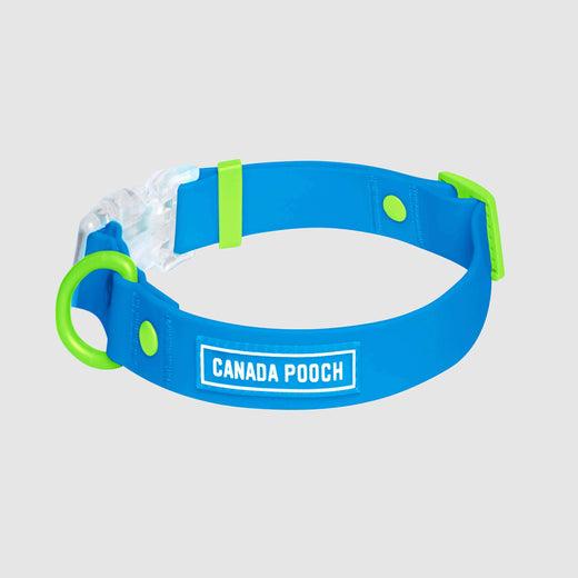 Canada Pooch Waterproof Dog Collar, Blue