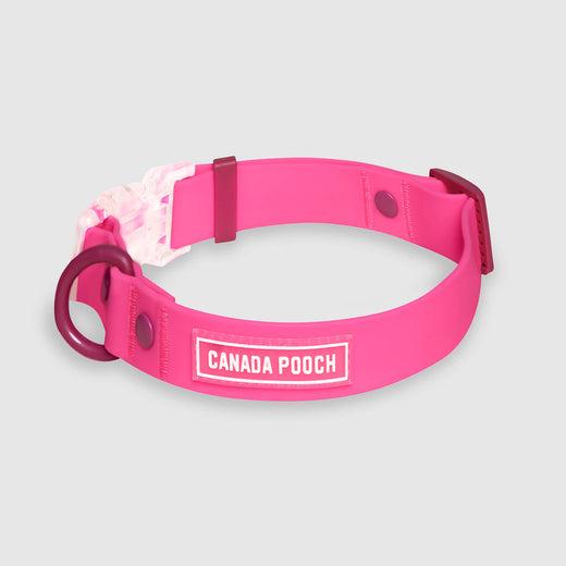 Canada Pooch Waterproof Dog Collar, Pink
