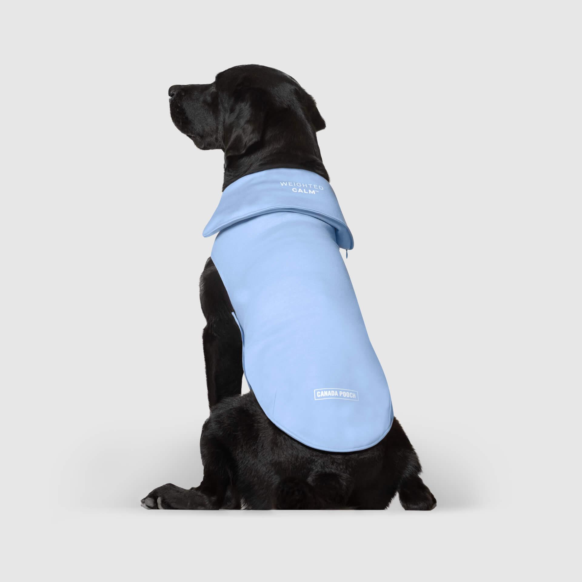 Canada Pooch Weighted Calming Dog Vest, Blue, X-Small