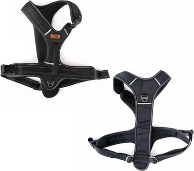 Mighty Paw Padded Sports Dog Harness, Black, Large