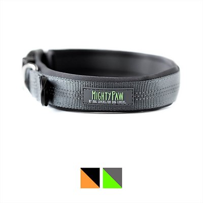 Mighty Paw Padded Sports Dog Collar, Grey, Medium