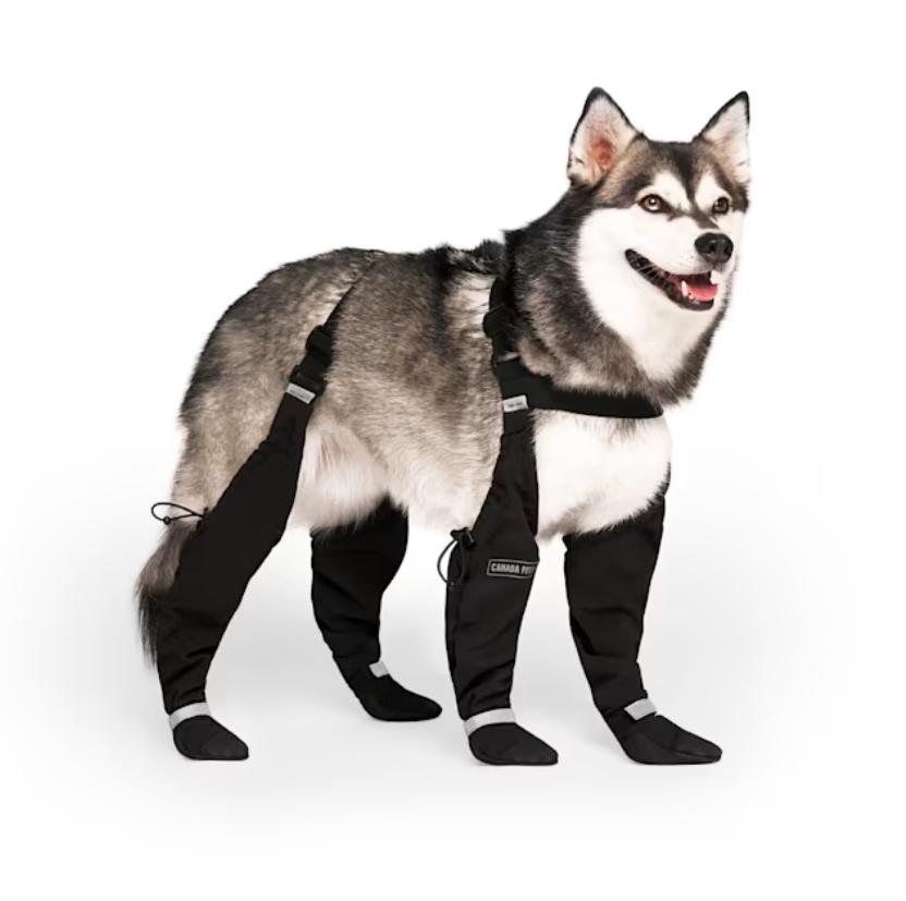 Canada Pooch Suspender Dog Boots, Black
