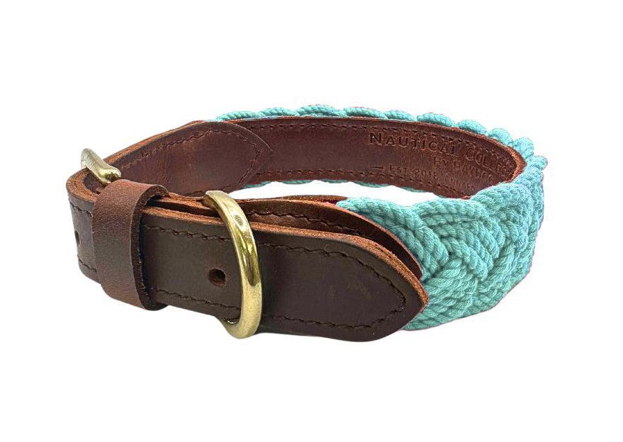 BayDog Seaside Dog Collar, Sea Foam, Medium