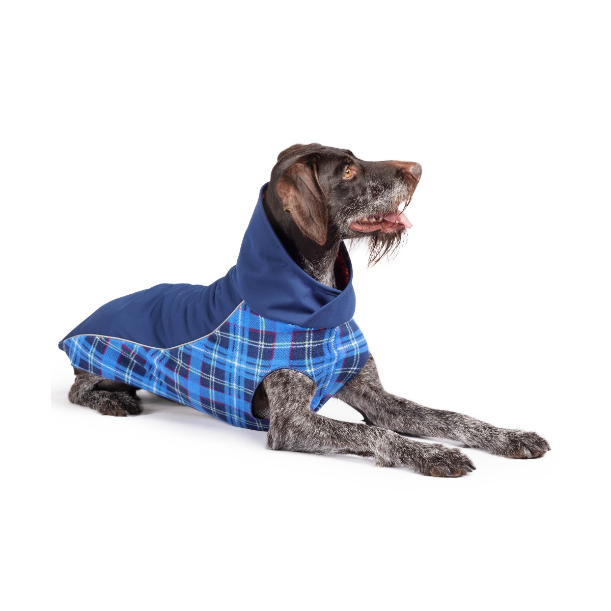 Goldpaw Portland Pullover Dog Coat, Navy/Blue Plaid, 22