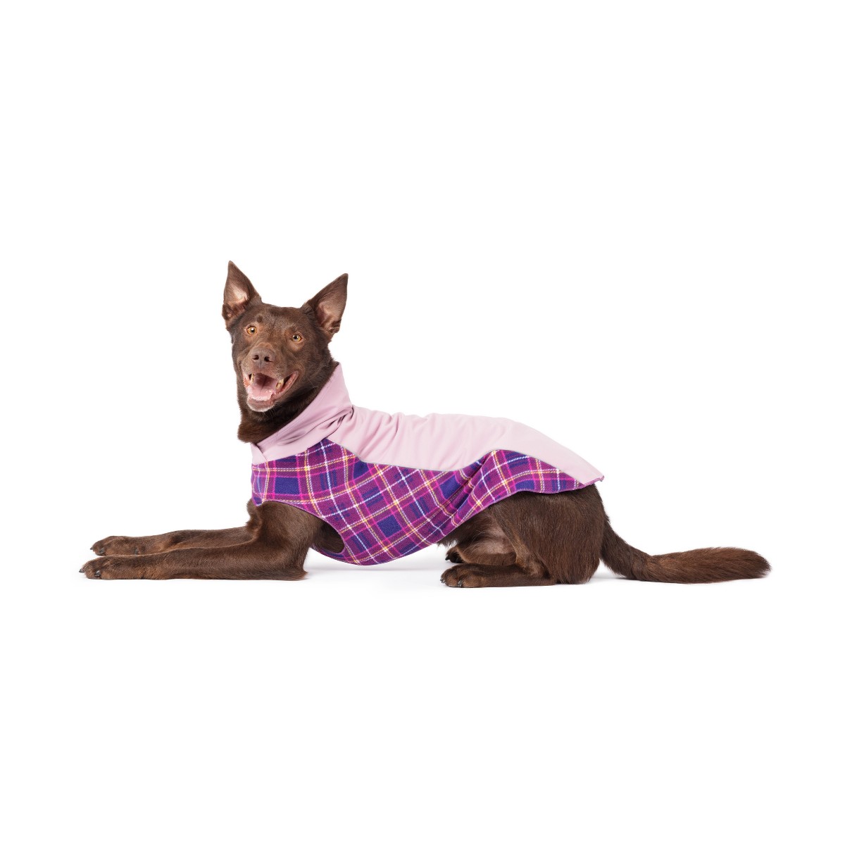 Goldpaw Portland Pullover Dog Coat, Lilac/Mulberry Plaid