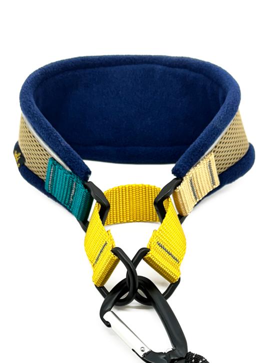Goldpaw Featherweight Hound Dog Collar, Seattle