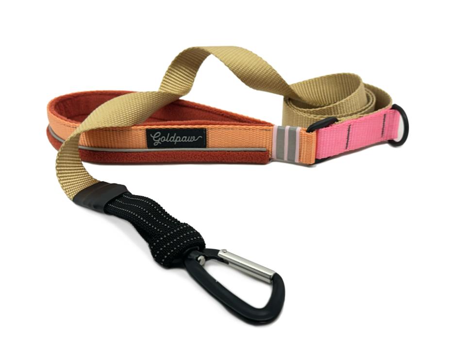 Goldpaw Featherweight Dog Leash, Palm Springs