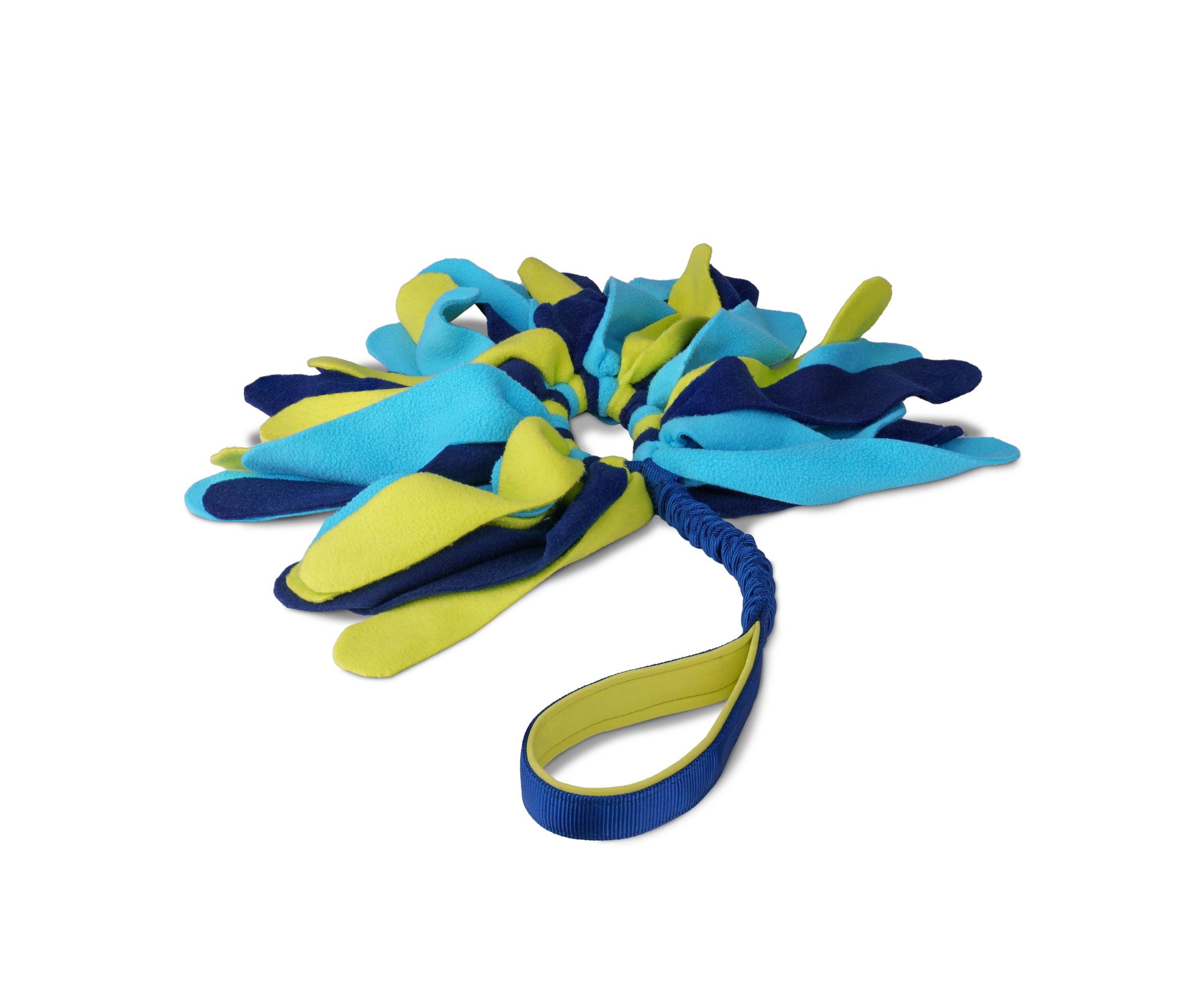 The Company of Animals Coachi Tuggi Spider Dog Toy