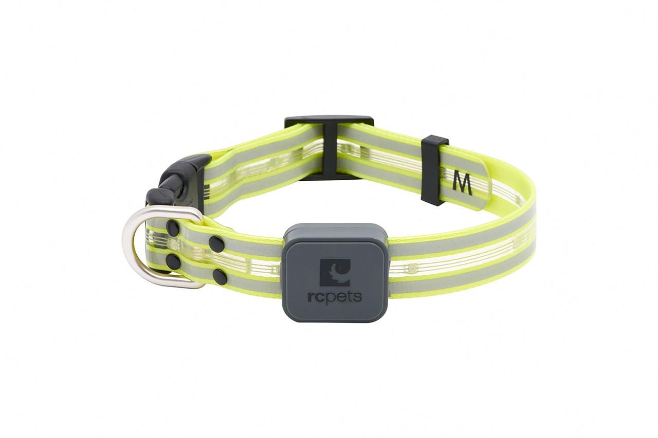 RC Pets Nova LED Light Dog Collar, Tennis, Large (1-in x 15-25-in)