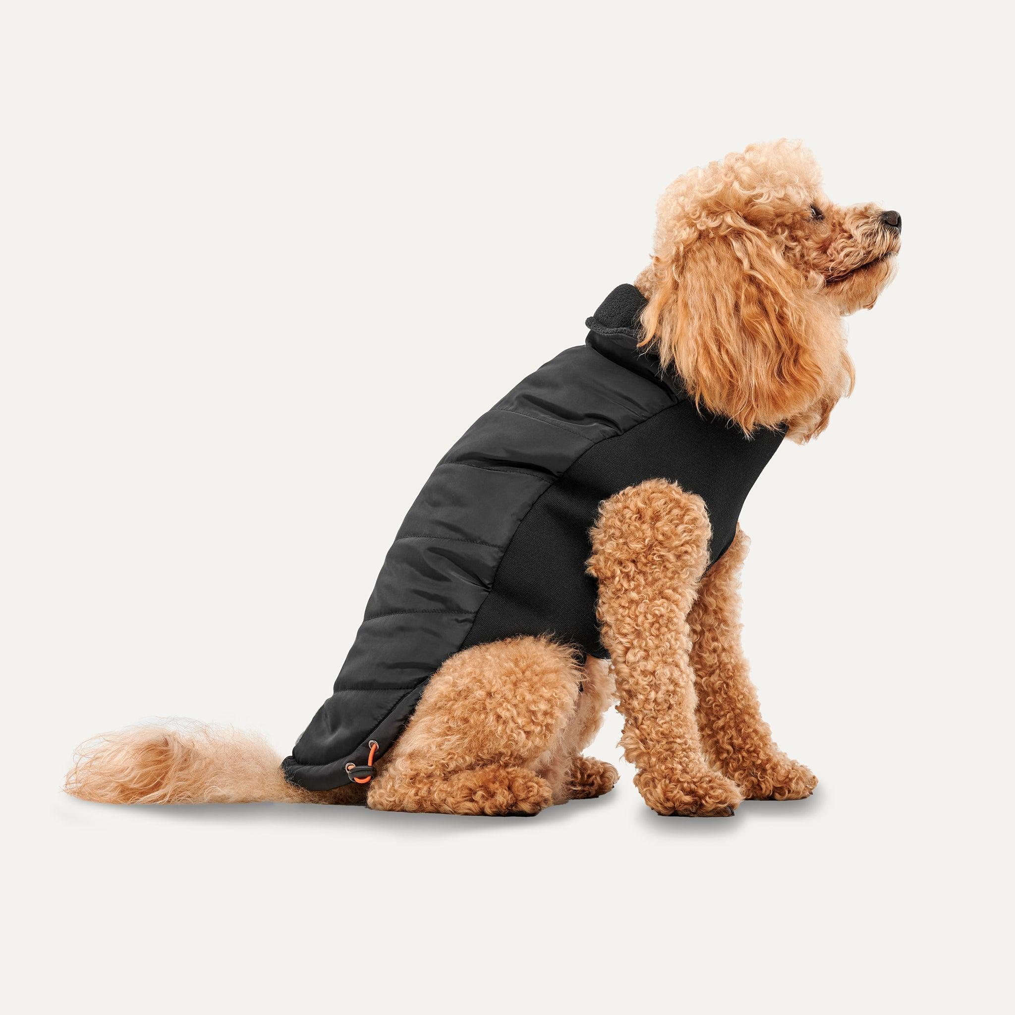 Goo-eez Mock Neck Signature Wrap Dog Jacket, Black, X-Small